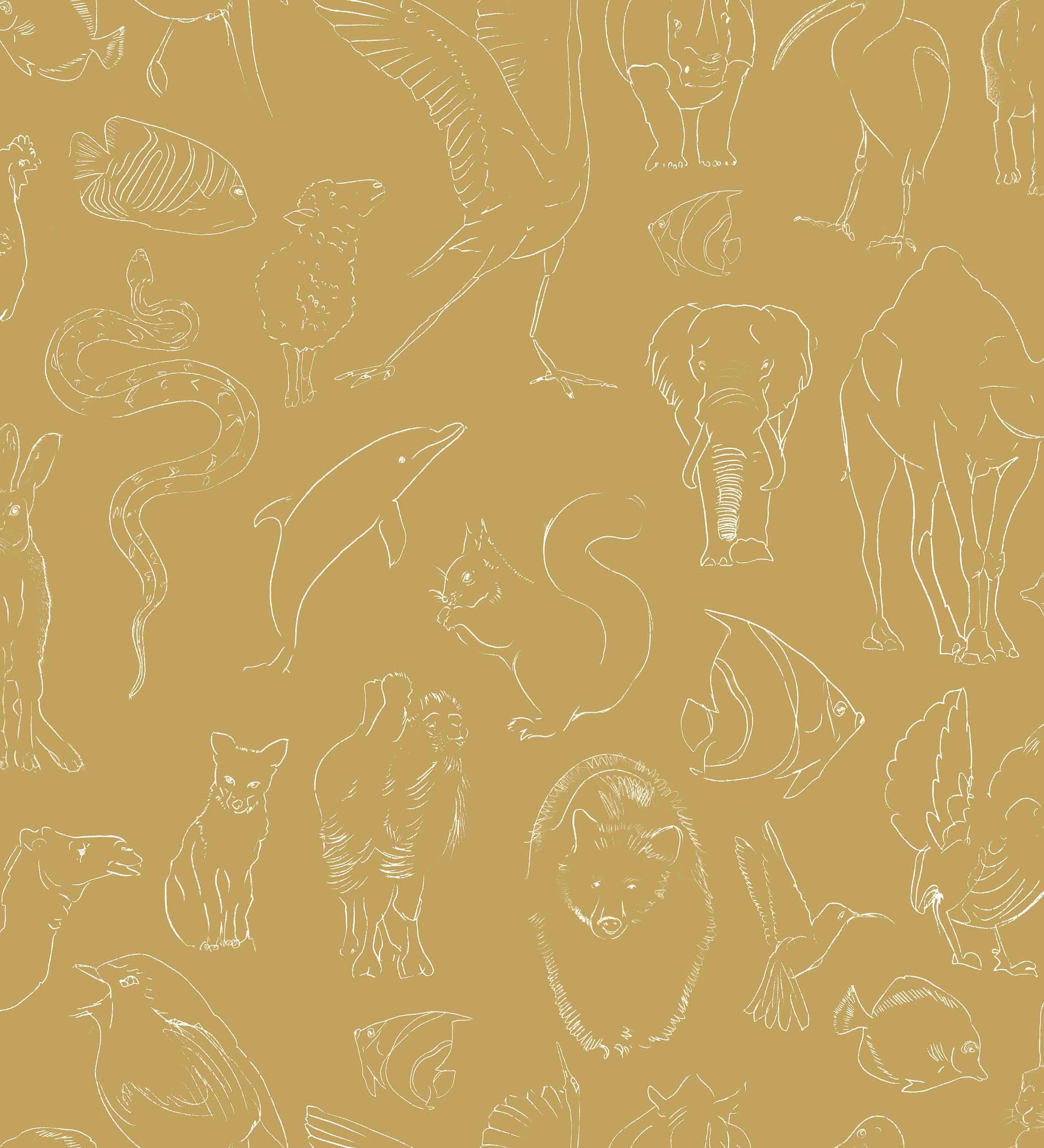 Zoology, Curry, Coordonne 5mp / rola